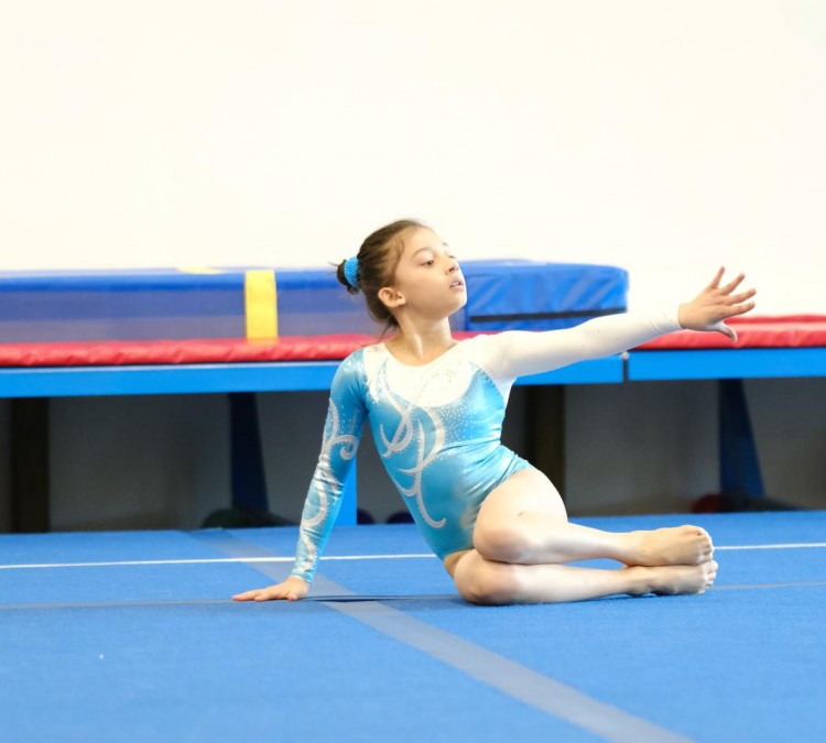 Hope Gymnastics Academy (Ashburn,&nbspVA)